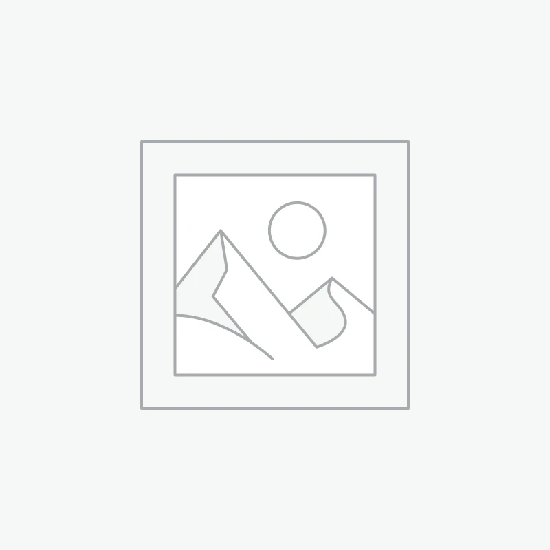 Jeux D'Echec Rustique Avec Pions